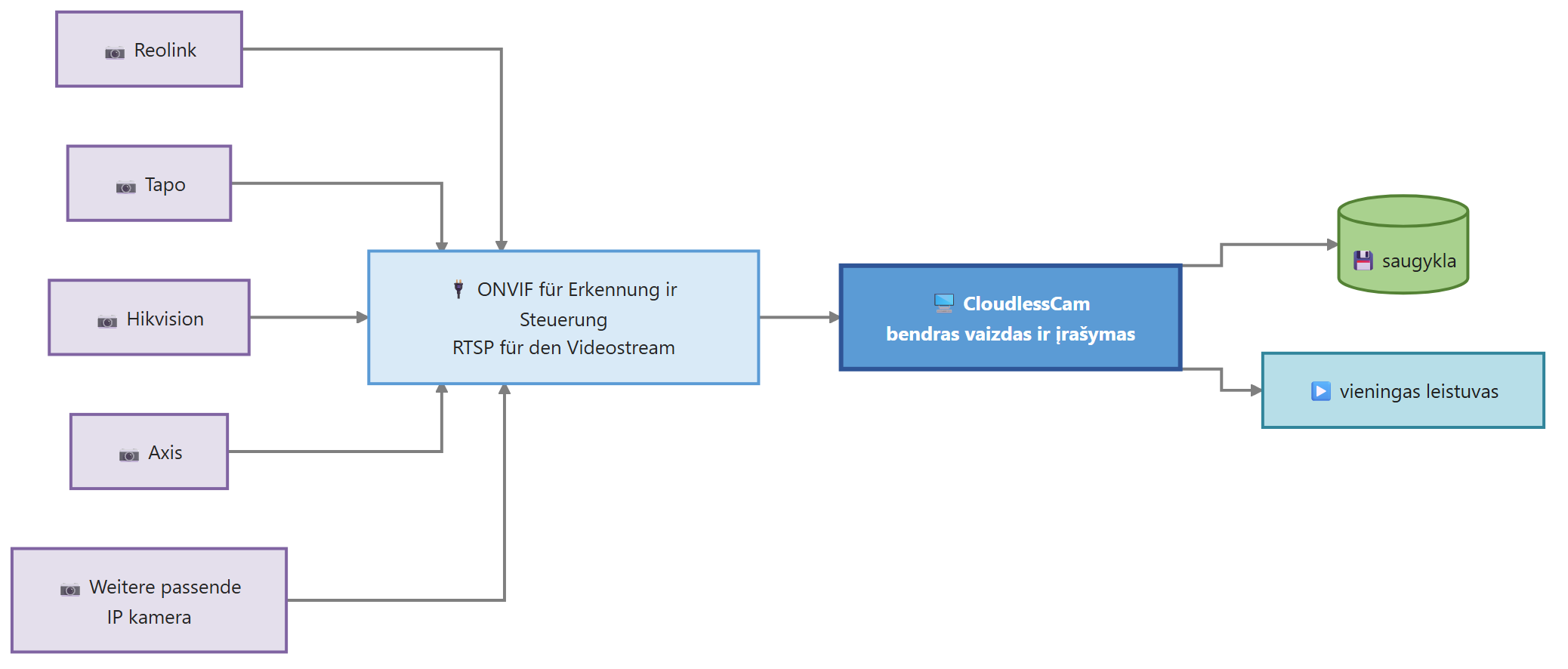 Diagram for Keli gamintojai kamera: Reolink Tapo Hikvision Axis